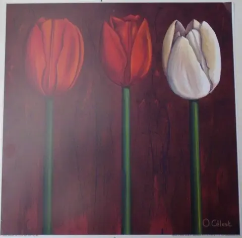 POSTER 30x30 cm THREE TULPS NIEUW