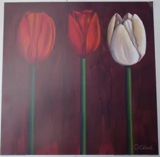 POSTER 30x30 cm THREE TULPS NIEUW