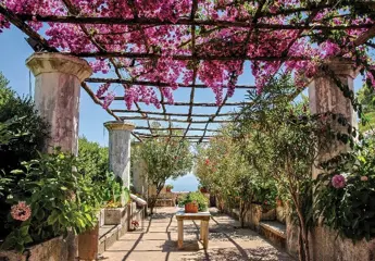 Patio fotobehang, Pergola, Bloementuin behang