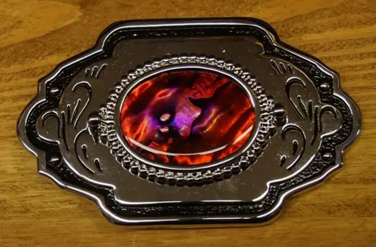 Buckle " Siersteen rood " Zilverkleurig / zwart