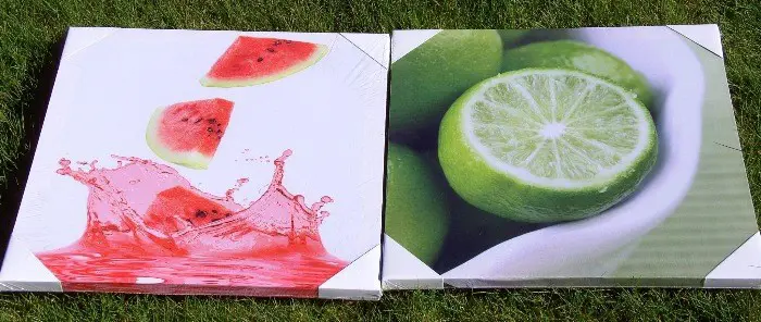 SCHILDERIJ 2 DLG SERIE FRUIT 40x40 cm OP CANVAS Nieuw