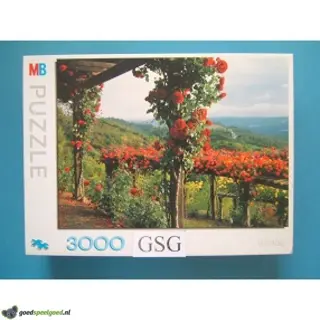 De klimrozen 3000 st nr. 16207