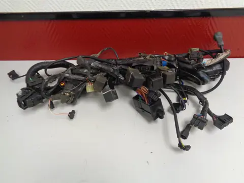 KABELBOOM Triumph Sprint ST 955 1999 - 2005