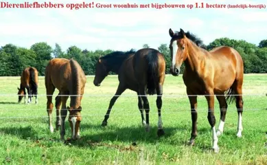 Landelijk woonobject met bijgebouwen en weiland