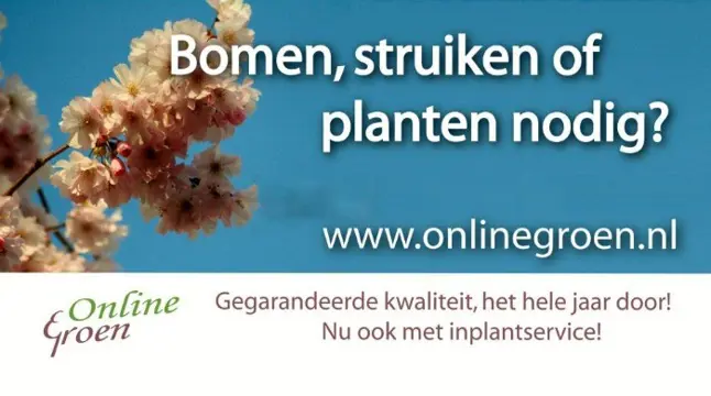Tuinplanten kopen met inplant service.