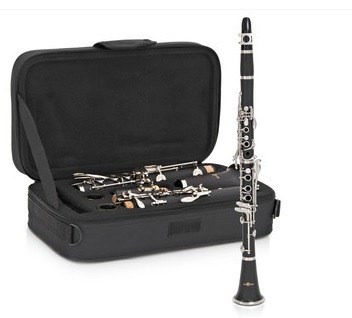 (Bb) Klarinet Stewart Ellis SE820 - in Soft Case