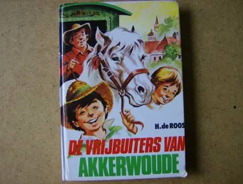 De vrijbuiters van akkerwoude adv6637