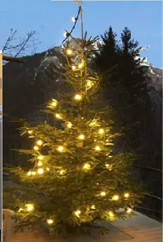 Feestverlichting voor kerstboom of tuinfeest met kaarslamp