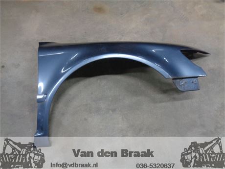 Volkswagen Phaeton 2002-2015 Scherm rechts voor