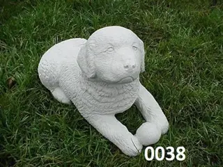 Verschillende Honden. zie foto`s