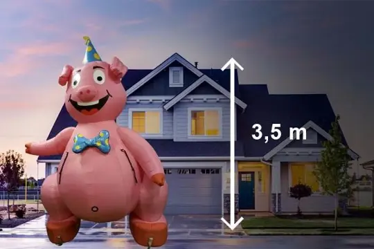 Opblaasbaar feestvarken te huur, landelijke bezorging mogeli