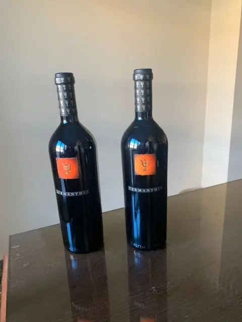 2005 Bodega Numanthia, Termanthia - Toro - 2 Flessen (0.75