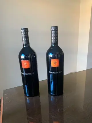 2005 Bodega Numanthia, Termanthia - Toro - 2 Flessen (0.75