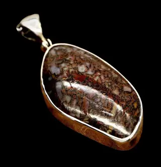 Extreem zeldzaam - geagatiseerd Dino-bot - blauw / rood