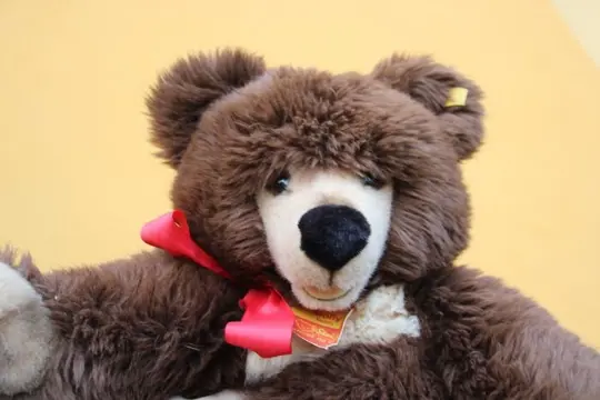 Steiff - Vintage - EAN 019920 - Teddybeer Molly circa