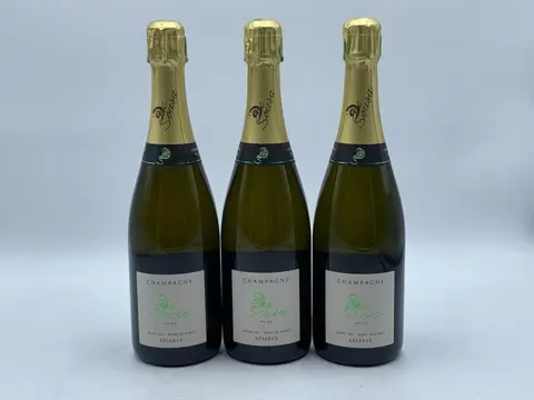 De Sousa Avize - Champagne Grand Cru Blanc de Blancs - 3