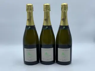De Sousa Avize - Champagne Grand Cru Blanc de Blancs - 3
