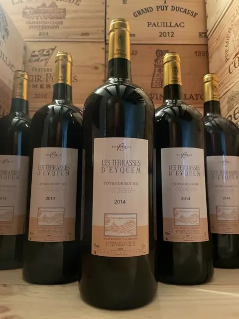 2014 Château Terrasses les Eyquems - Bordeaux - 6 Magnums