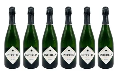 Esterlin "Brut Eclat", Cuvée Brut - Champagne Brut - 6