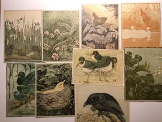 Theo van Hoytema (1863-1917) - 9 images from calendars