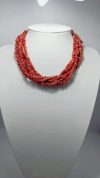 Koraal - Skelet - Corallium rubrum