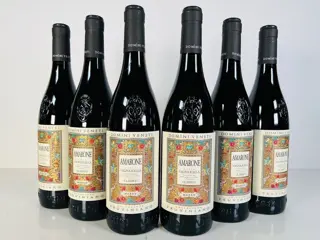2019 Domini Veneti - Collezione Pruviniano - Veneto Amarone