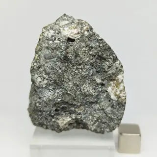 NIEUW NWA 15257 (Sahara, 2022). EUCRITE Brecciated