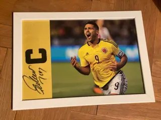 Colombia - Wereldkampioenschap Voetbal - Radamel Falcao -