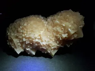 Calciet - Malaga - Spectaculaire egel - 20×10×9 cm - 1936 g