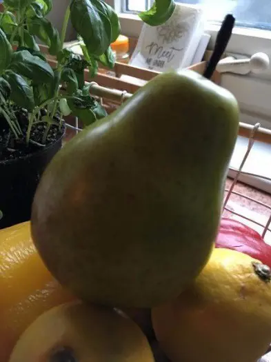 Decoratie fruit , nep fruit , peer