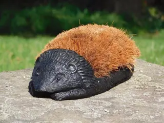 Voetenveger van een egel