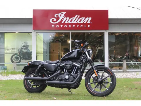 Harley-Davidson XL 883  Iron