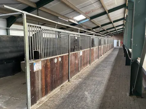 Paardenboxen 350 x 300 draaibaar  9 stuks