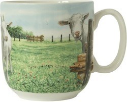 Oorbekers Geit Wiebes Farm