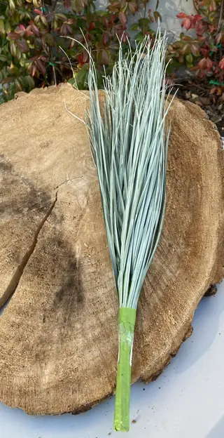 GRAS BOSJE 60 CM Groen nr. 8 NIEUW