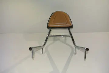 RUGSTEUN SISSYBAR Triumph Thunderbird 1600 2010 - 2013