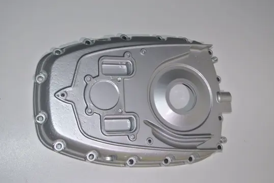 MOTORBLOKDEKSEL BMW R 1200 GS 2008 - 2009