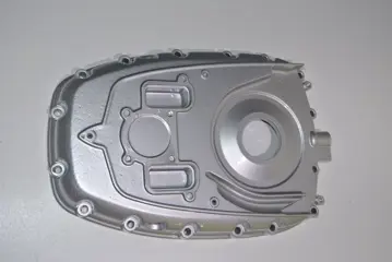 MOTORBLOKDEKSEL BMW R 1200 GS 2008 - 2009