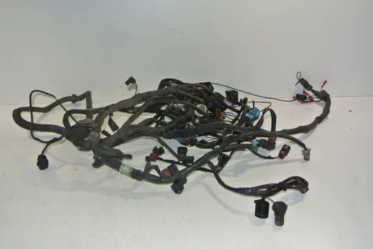 KABELBOOM Triumph Sprint ST 955 1999 - 2005