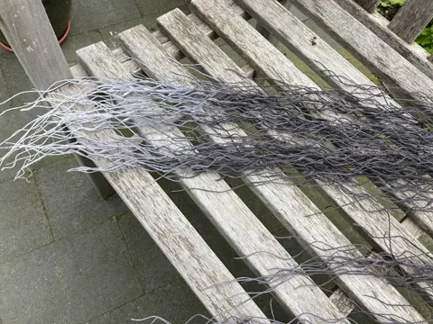 DECO TAKKEN TILLANDSIA GRIJS WIT 1 mtr NIEUW