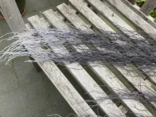 DECO TAKKEN TILLANDSIA GRIJS WIT 1 mtr NIEUW