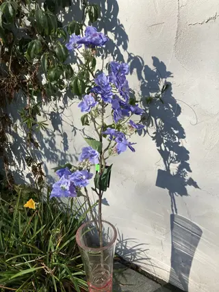 ZIJDEBLOEMEN 100 CM HYDRANGEA PURPEL NIEUW  Prachtige tak met paarse bloemen. (Mooi om te combineren