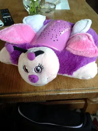 Droomkussen met licht, heerlijk zacht kussen - met deze pillow pets dream lites projecteer je een h
