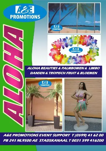 Verhuur beachparty feest artikelen t.0599 416200