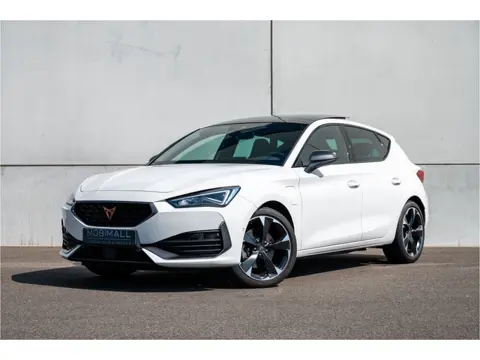 CUPRA Leon 1.4 e-Hybrid VZ Business