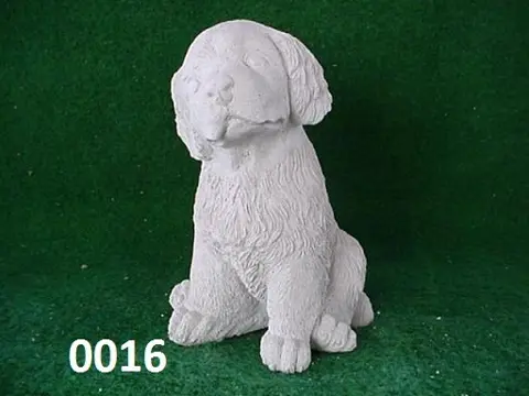 GOLDEN RETRIEVER PUPPY