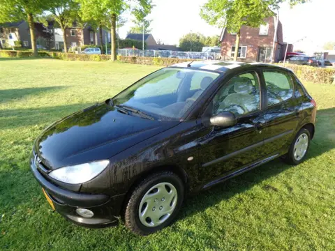 PEUGEOT 206 met nieuwe a p k 