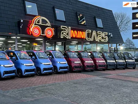 Geen rijbewijs nodig! | Canta | Citycar | Brommobiel | Rijbewijsvrij | Nieuw | Elektrisch 25km Auto