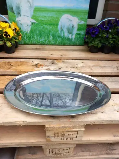 Serveerschalen, roestvrijstaal