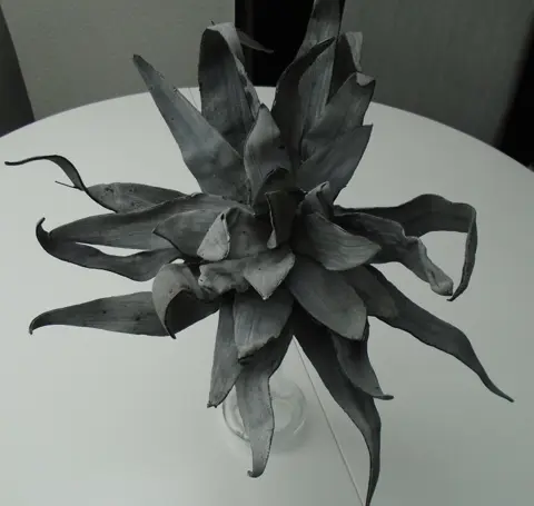 FOAM DECO ALOE 40 cm GRIJS NIEUW